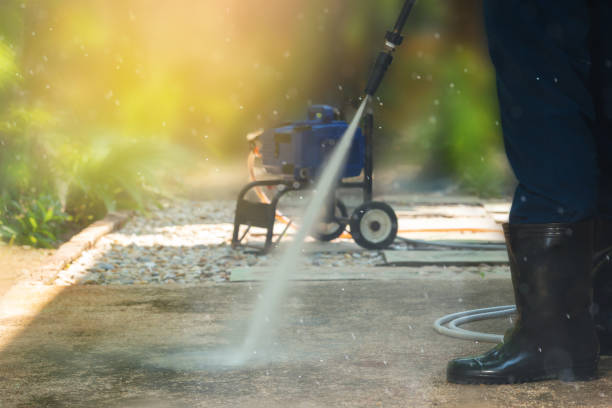 Animal Enclosure Cleaning in Orange Lake, NY